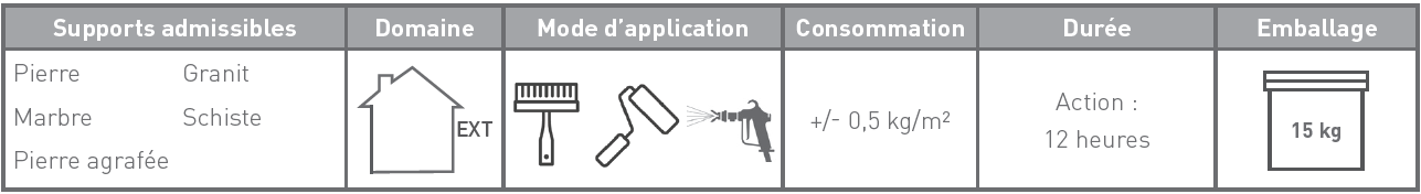 NETTOYANT_NF-100_caracteristiques