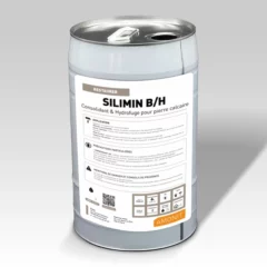 SILIMIN-B-H_MINERALISANT_RESTAURER_AMONIT-v2